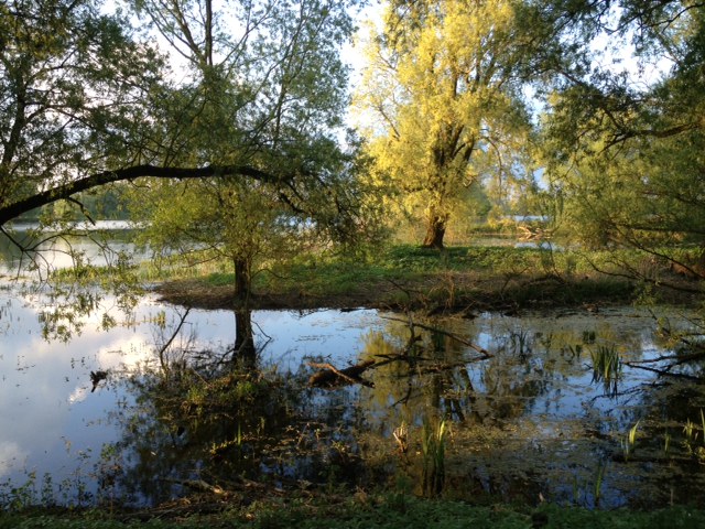 'Alles is voortdurend bezig is om mij in het heen en weer te krijgen...' Lente-avond in de Millingerwaard.