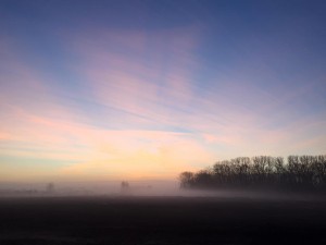 'Zoek eerst het Rijk van God, de rest zal je gegeven worden.' Ochtend in de Millingerwaard. 